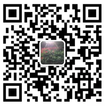 东莞市格j9九游会真人游戏第一品牌新材料有限公司